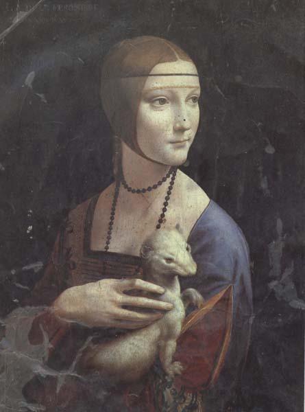 LEONARDO da Vinci Cecila Gallerani (mk45)